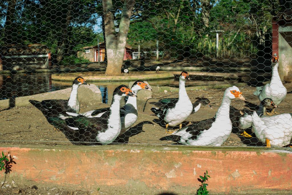 Pousada Fazendinha Buzios Exterior photo