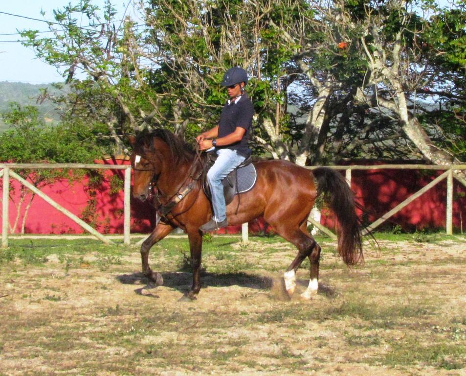 Pousada Fazendinha Buzios Exterior photo
